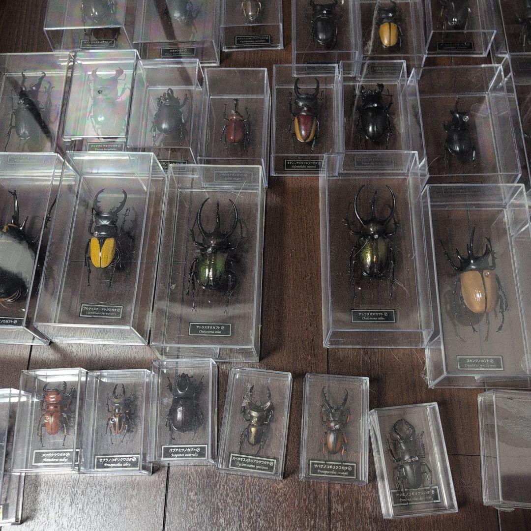 53体！！ディアゴスティーニ　世界の昆虫　データブック4冊