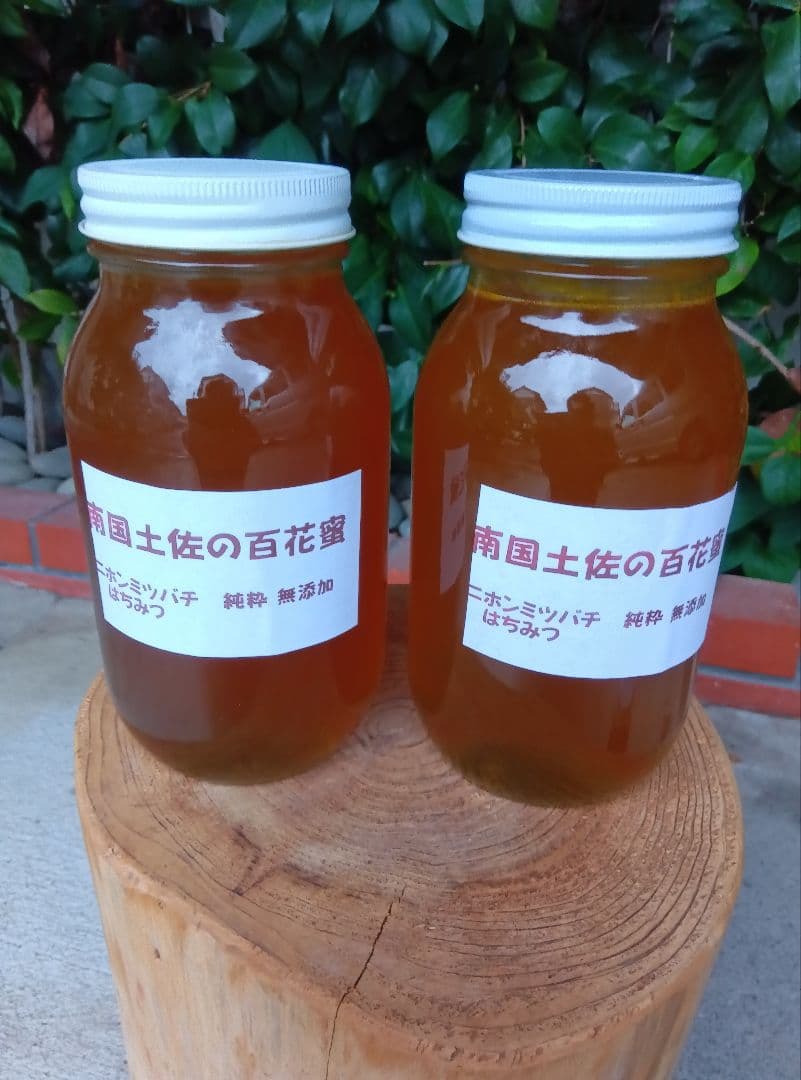 南国土佐の百花蜜　ニホンミツバチ蜂蜜　たれ蜜　純粋　無加工　1170g2本