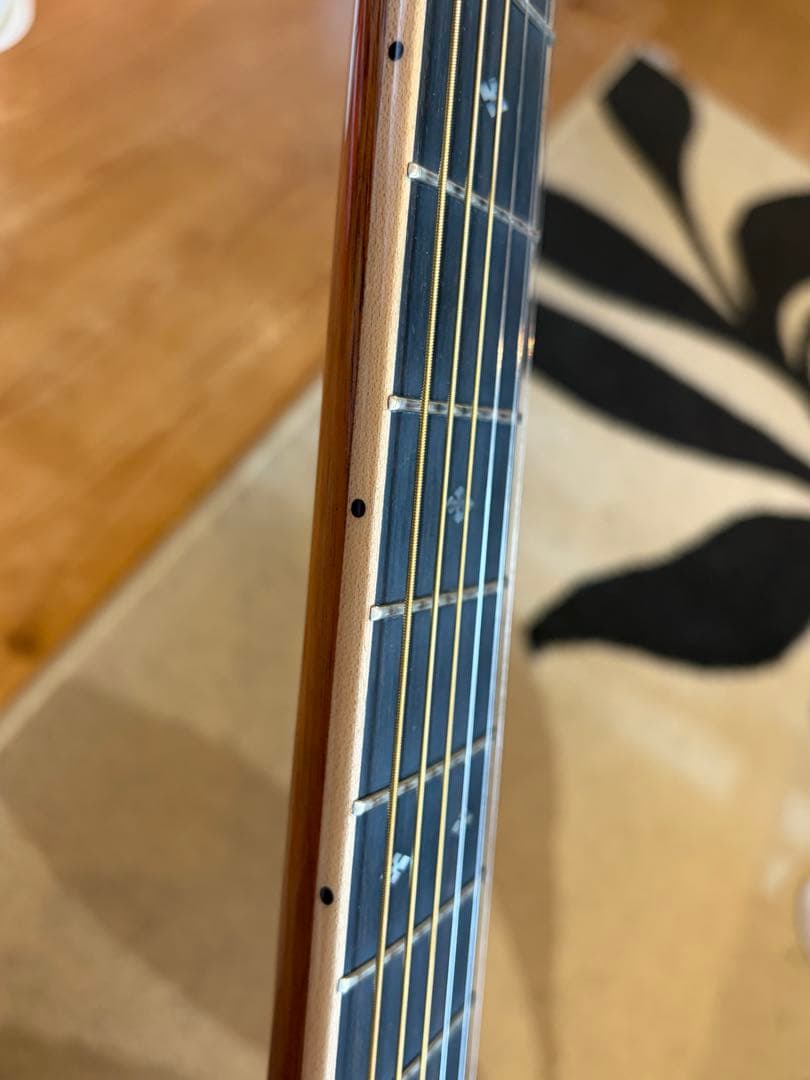 アコースティックギター ASTURIAS SOLO PREMIUM