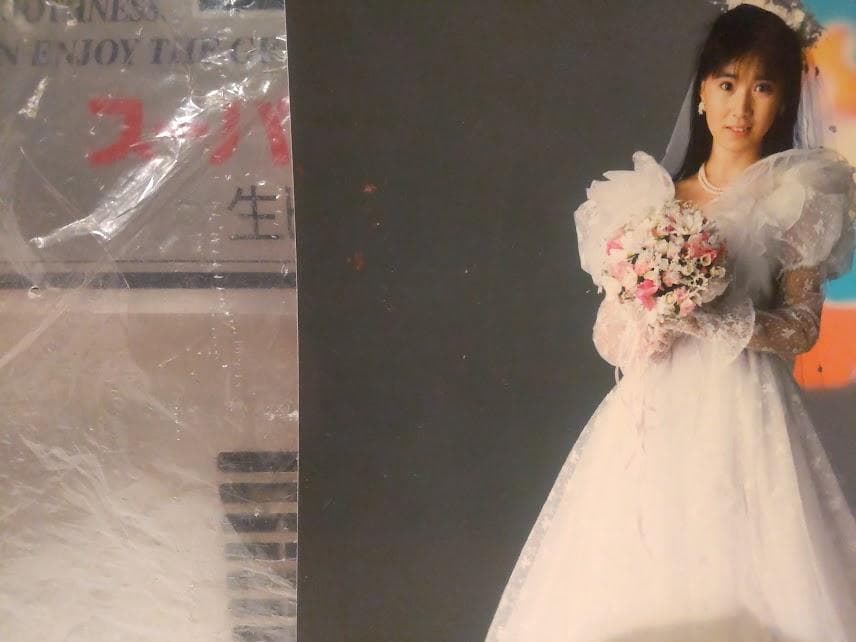 夕やけニャンニャン おニャン子クラブ 高井麻巳子 公式 写真 プロマイド 2枚