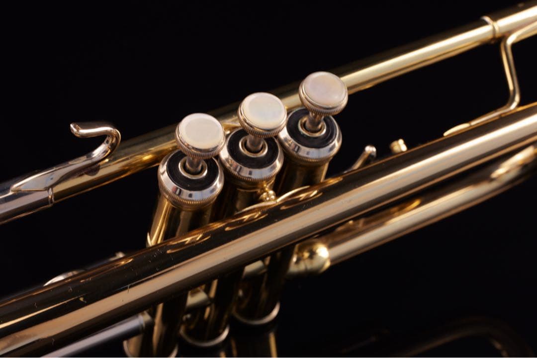 【選定品 メンテナンス済】 HOLTON T101 GB トランペット　ホルトン