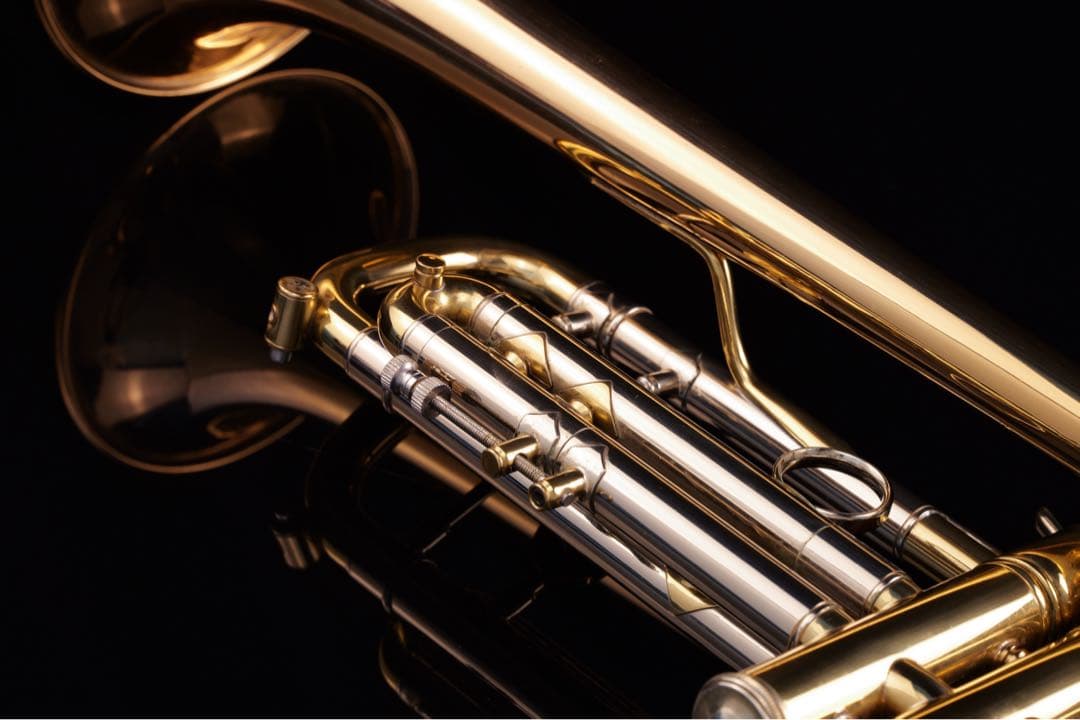 【選定品 メンテナンス済】 HOLTON T101 GB トランペット　ホルトン