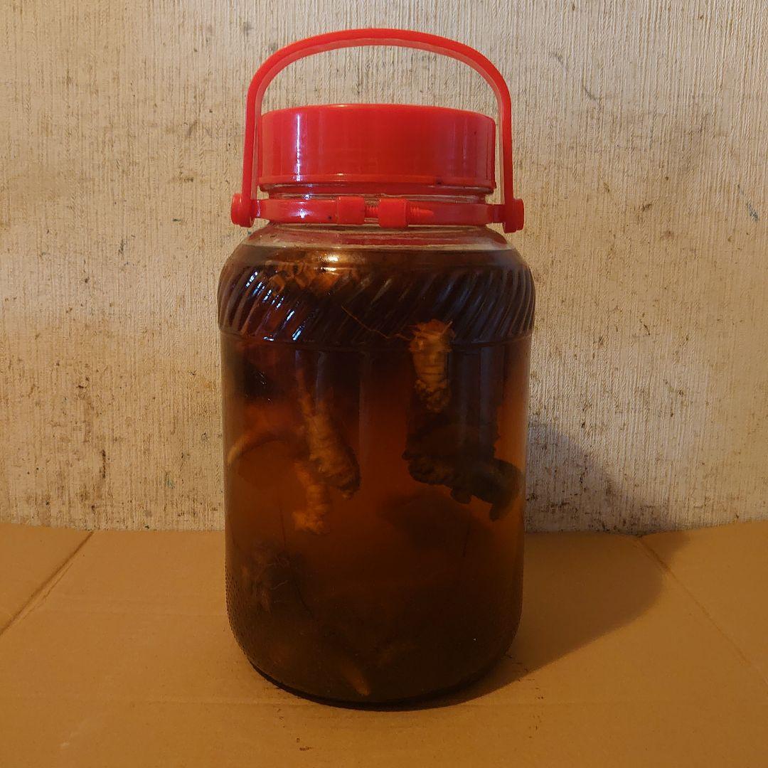 奈良県吉野山系吉野で採取りした天然物ツルニンジン酒5Ｌ入り ツルニンジン酒