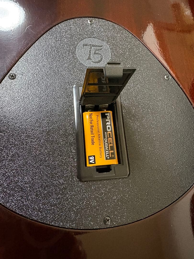 Taylor T5-C1 メンテナンス済み　基盤・配線新品