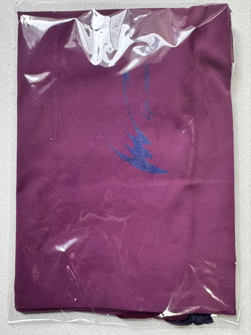 ※新品未使用【Ip Select 十河モデル 】硬式内野手用 グローブ用袋付き