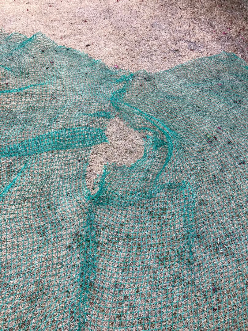 防球ネット 緑色 ナイロン製　ジャンク