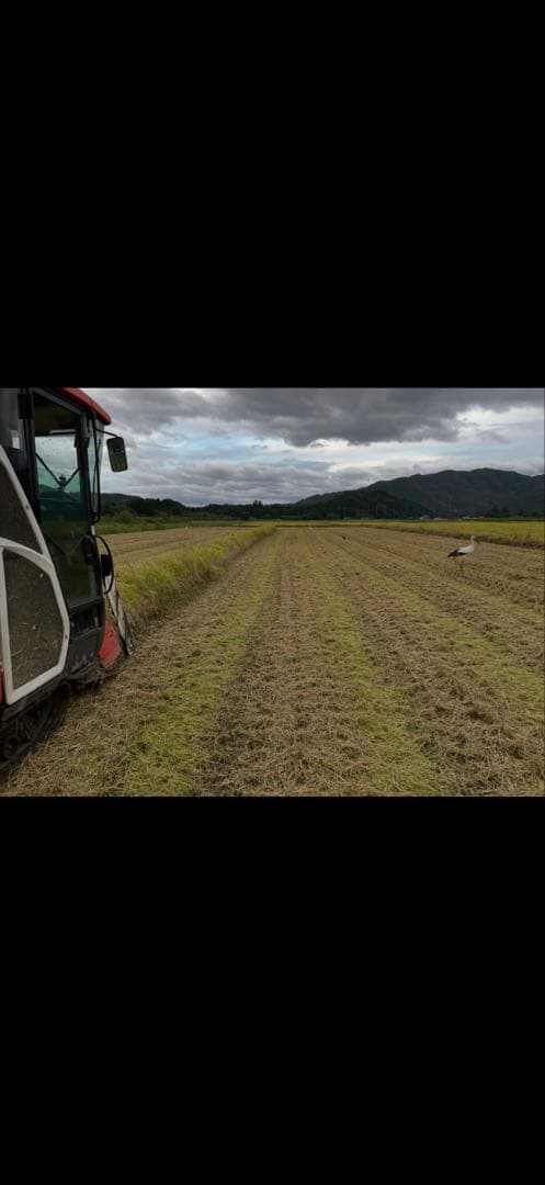 ③ゆうだい21 （白米3kg）・コシヒカリ（白米5kg）セット