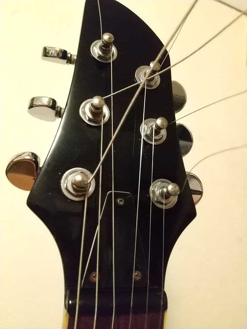 飛ぶ猫さま専用/ APG-55S 改造品/サステナーなし120サイズ