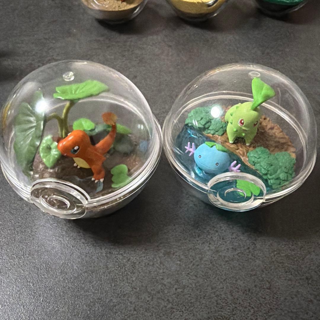 ポケモン テラリウムコレクション いろいろ