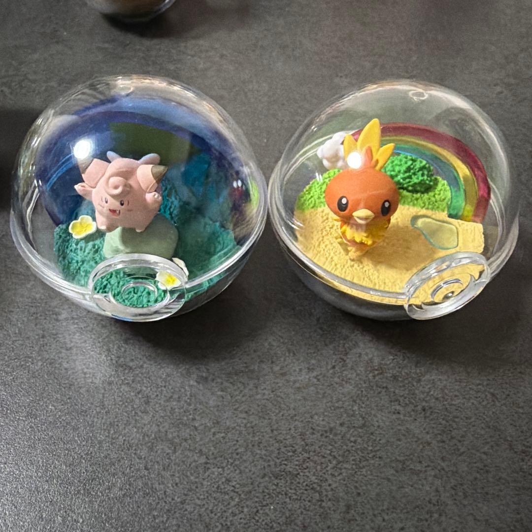 ポケモン テラリウムコレクション いろいろ