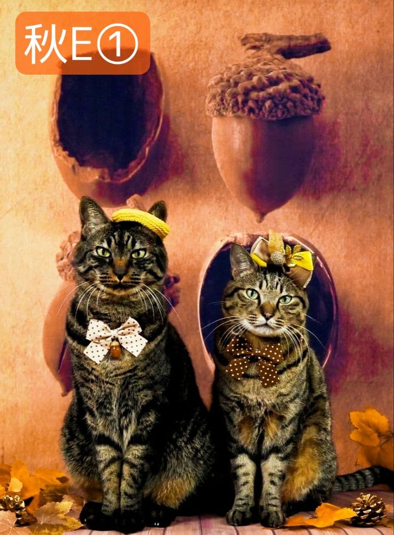 紅葉　背景布秋XD①　ペット撮影用　80×120cm　トリミングチョーカー販売中