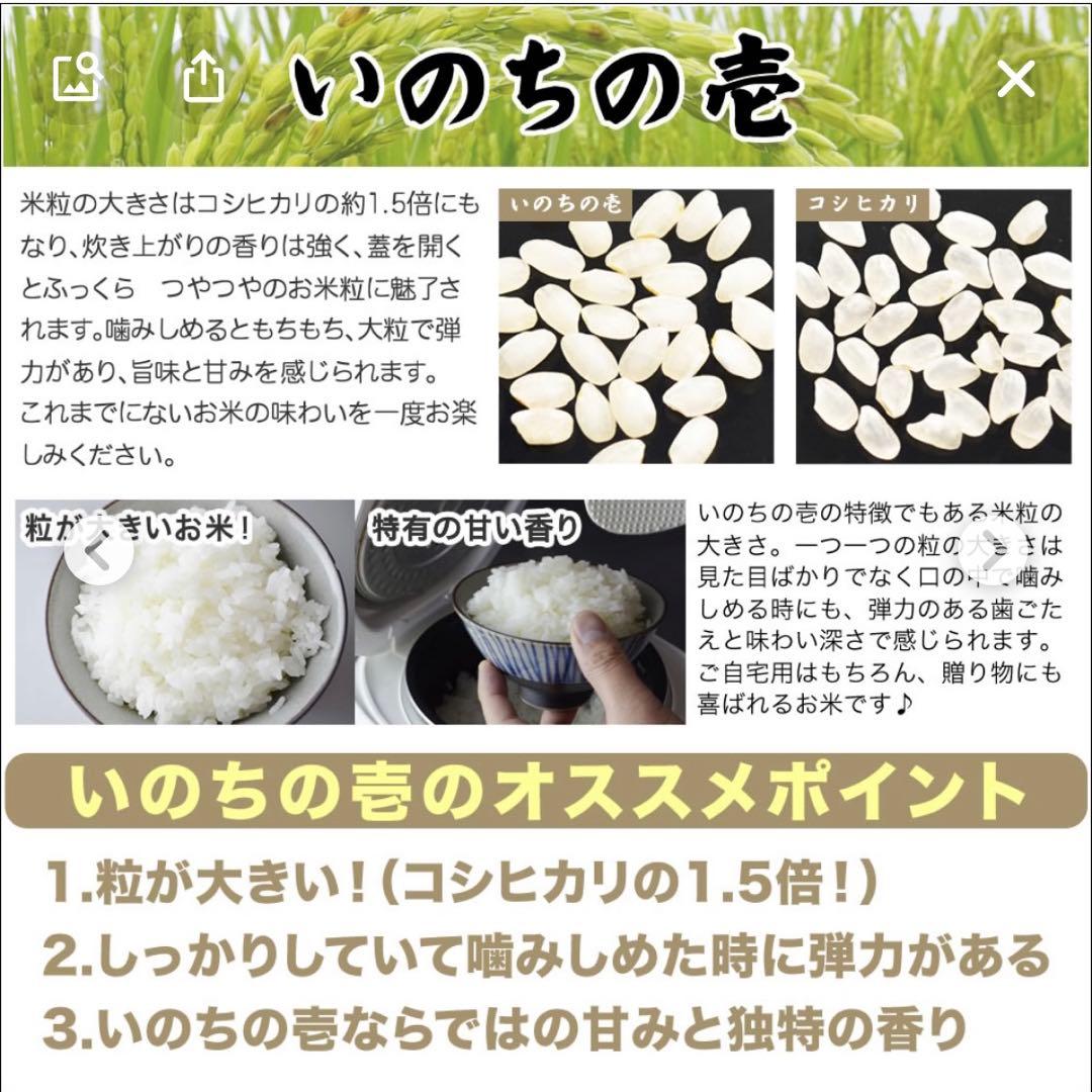 栃木県産農家直売いのちの壱玄米10kg