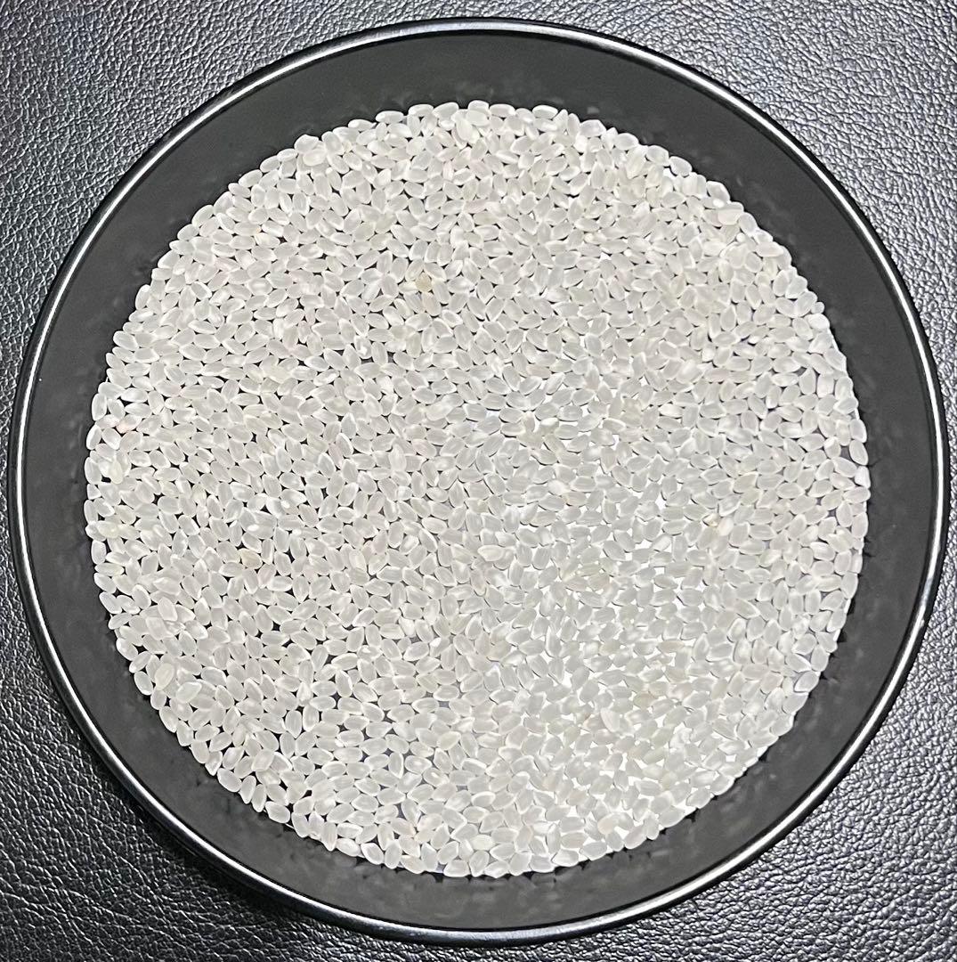 送料無料 令和7年産 京都丹後米 コシヒカリ 白米 約18kg