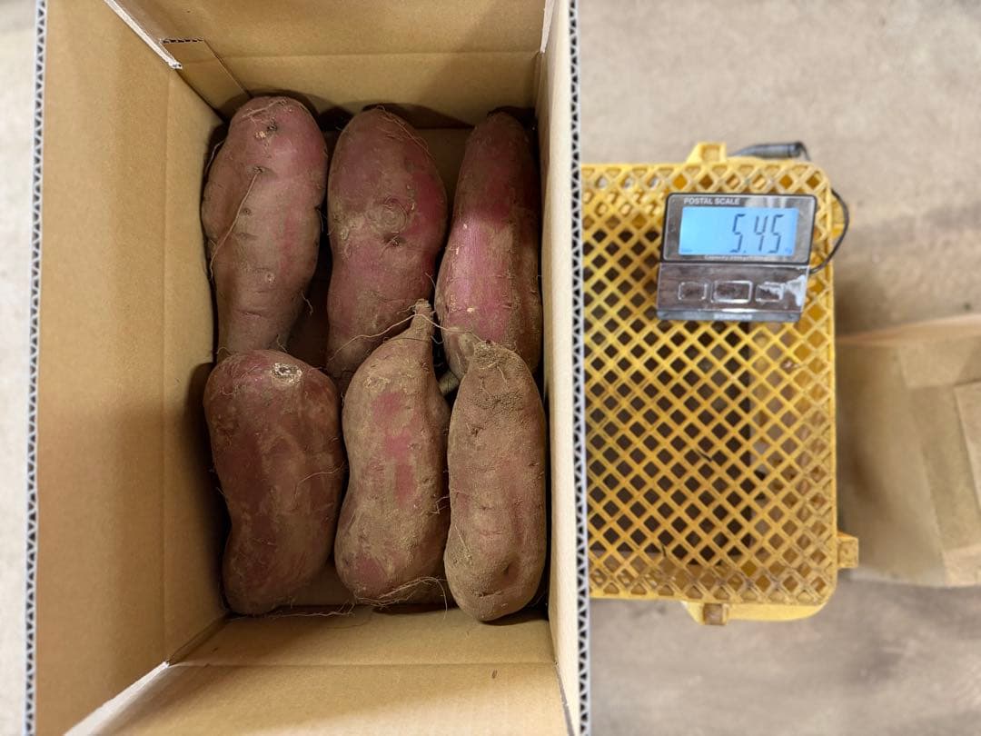 シルクスイート 大きめサイズ 150kg 訳あり品