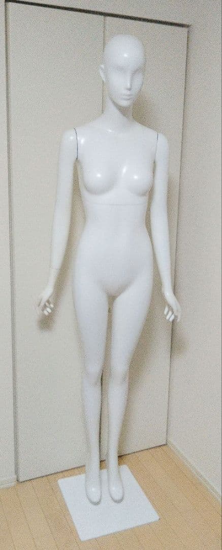 全身 マネキン レディース アパレル