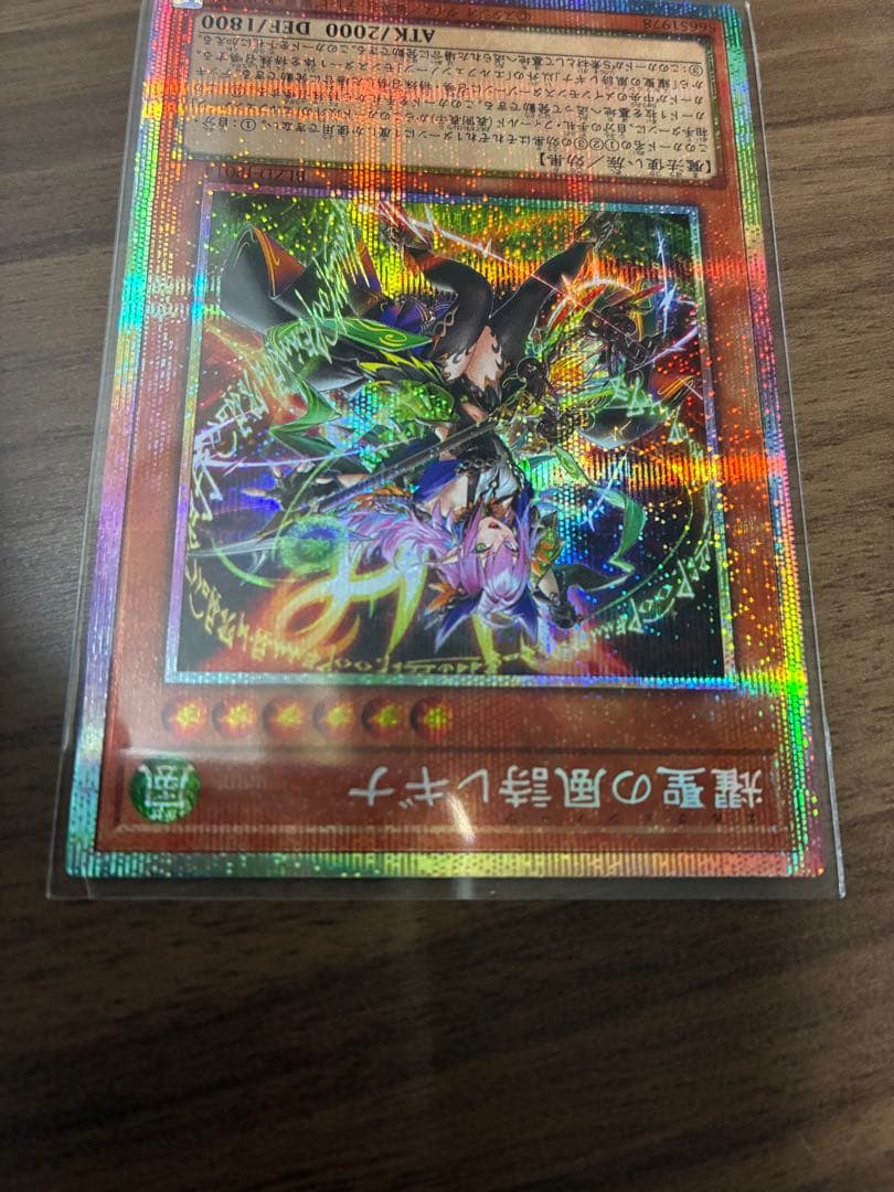 遊戯王　輝聖の風詩レギナ　エルフェンノーツレギナ プリシク