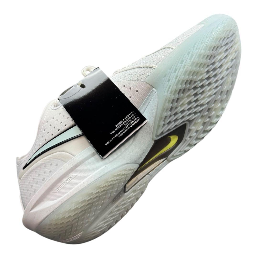 A新品 29.0cm ナイキ エア ズーム GT カット 3 EP DV2918