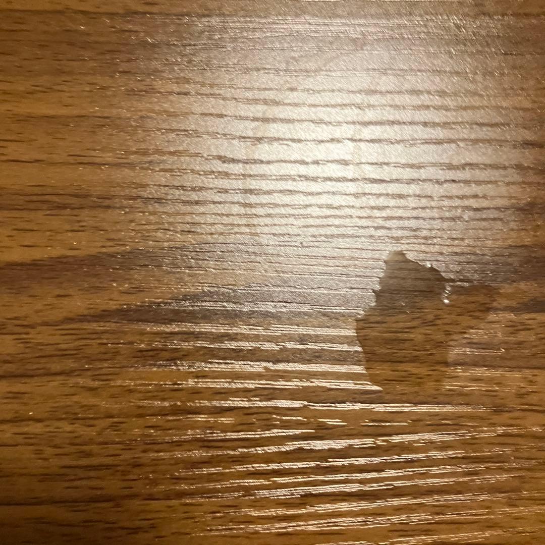 メガリザードンXexYexMUR2種セット　インフェルノX スタートデッキ100