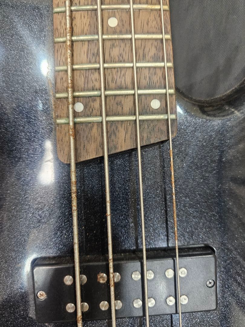 Ibanez SR300e アイバニーズ