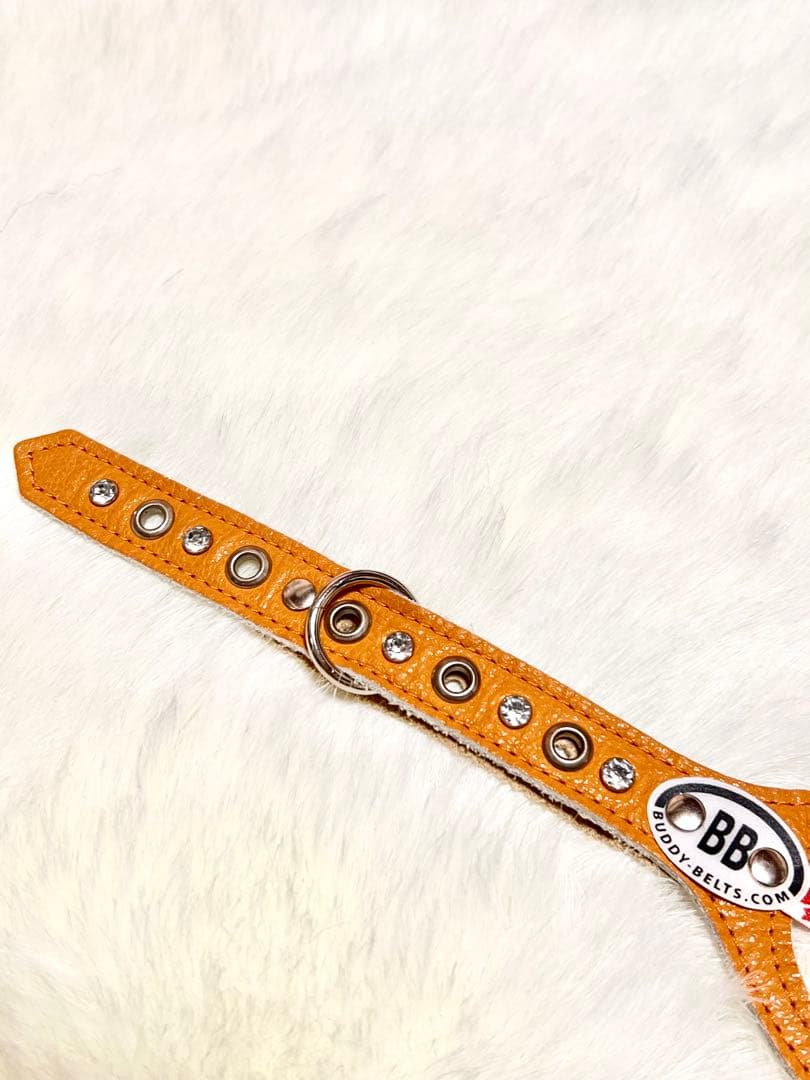 BUDDY BELT 3.5 オレンジラインストーン付き