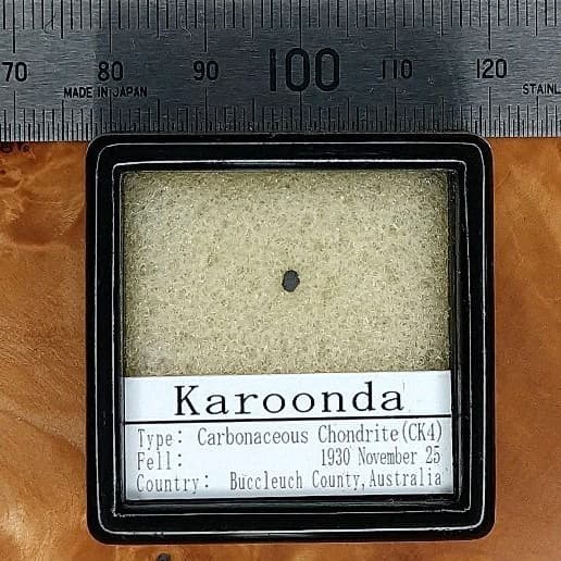 超希少！カルーンダ隕石 標本