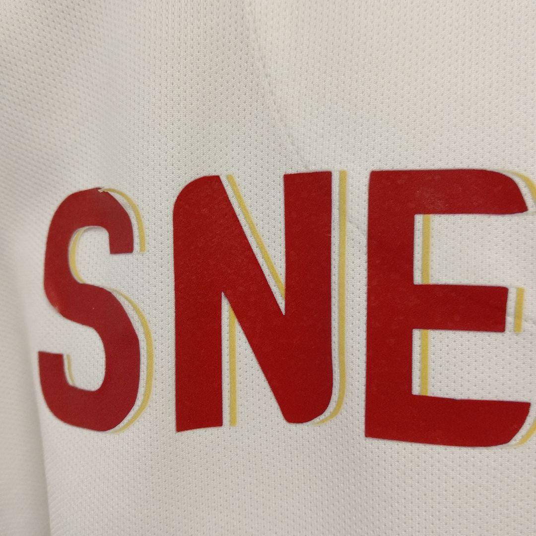 レア　オランダ代表　スナイデル　ガラタサライ