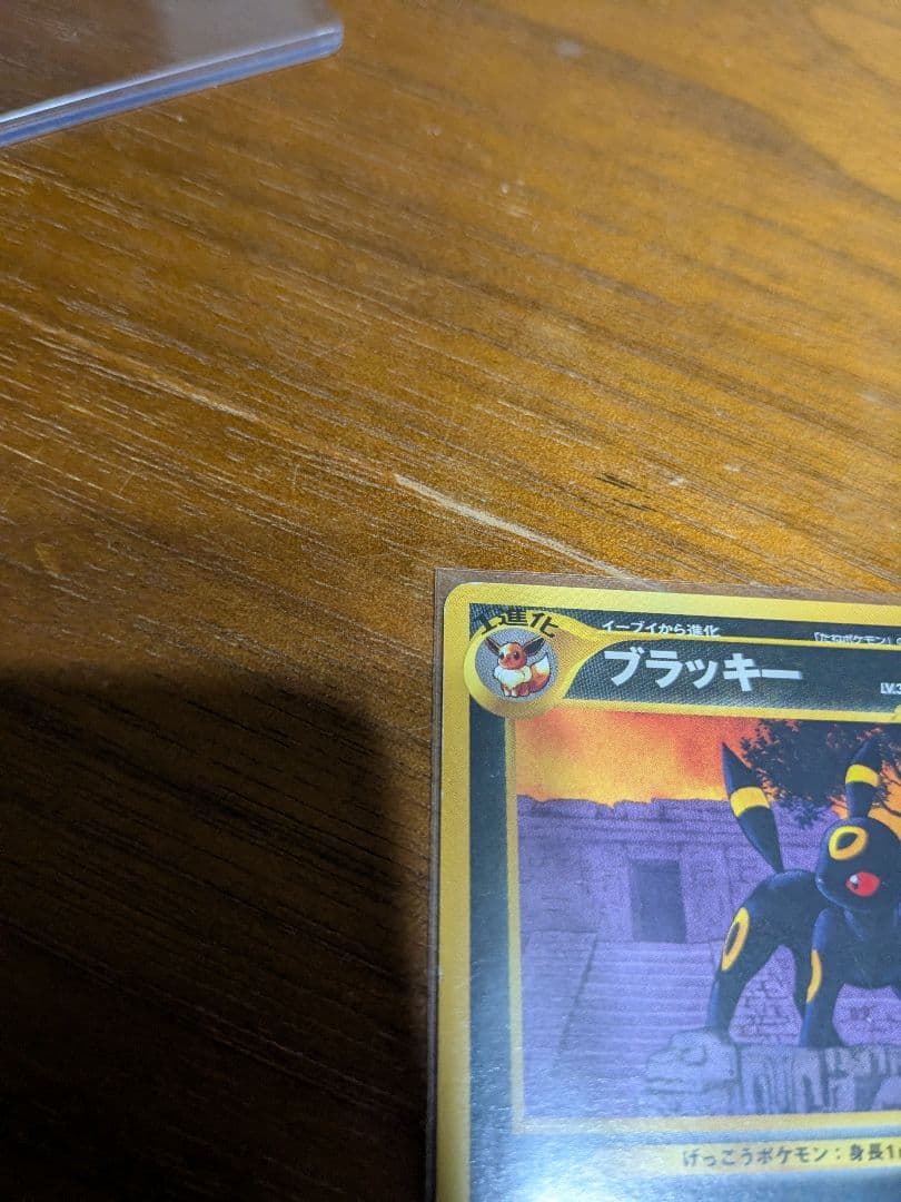 ポケモンカード　ネオ　ブラッキー LV.33 プレミアムファイル　旧裏