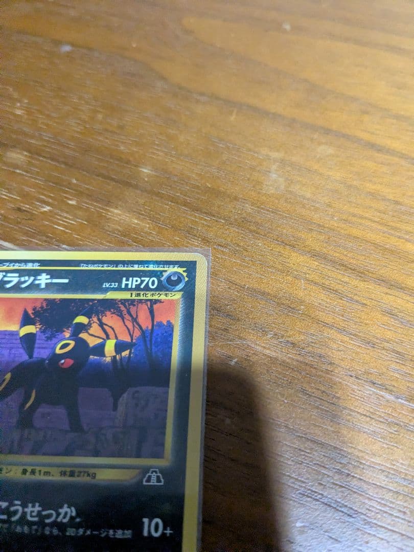 ポケモンカード　ネオ　ブラッキー LV.33 プレミアムファイル　旧裏