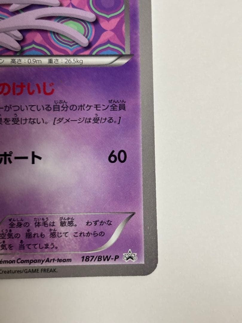 エーフィ PROMO BW-Pプロモカード 187/BW-P