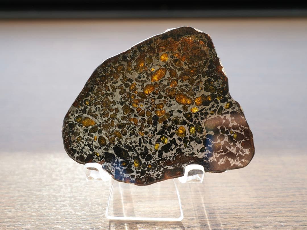 太陽系外の惑星　チベット　Gyarub Zangbo パラサイト隕石 スライス