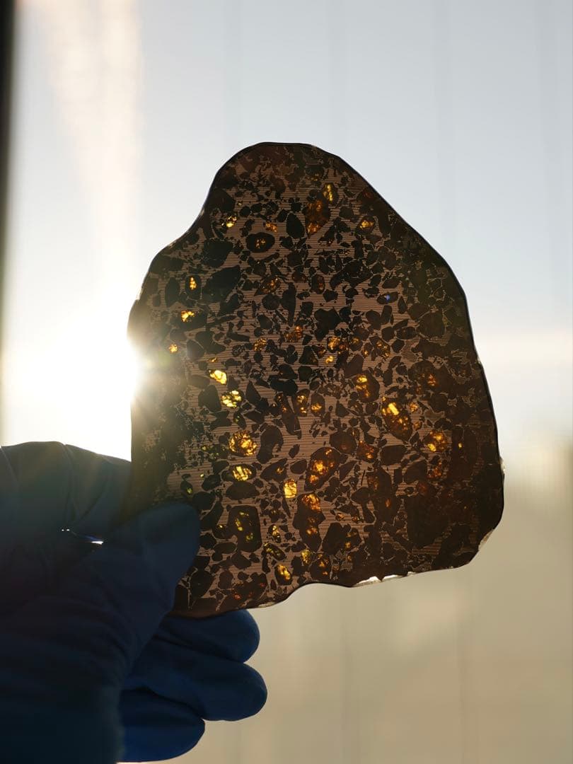 太陽系外の惑星　チベット　Gyarub Zangbo パラサイト隕石 スライス