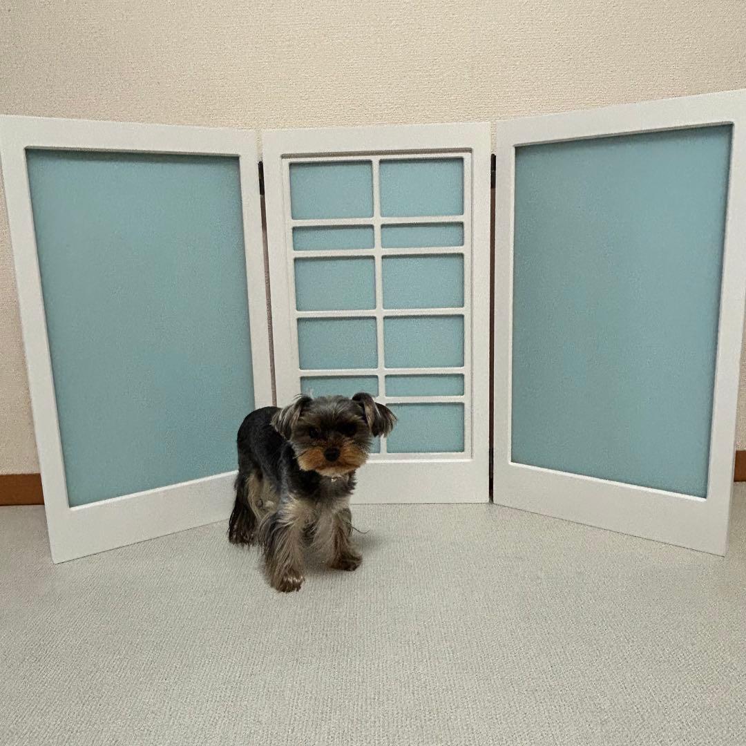 わんちゃん撮影用⭐︎3連パーティション