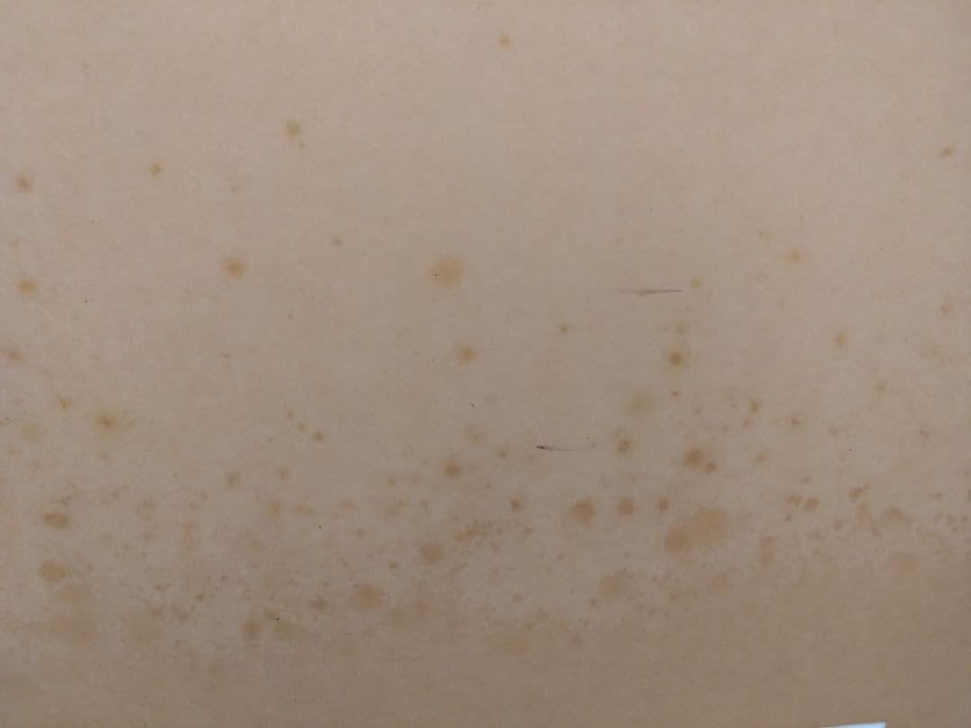 カーク・レイナート　スナグルバニーズ