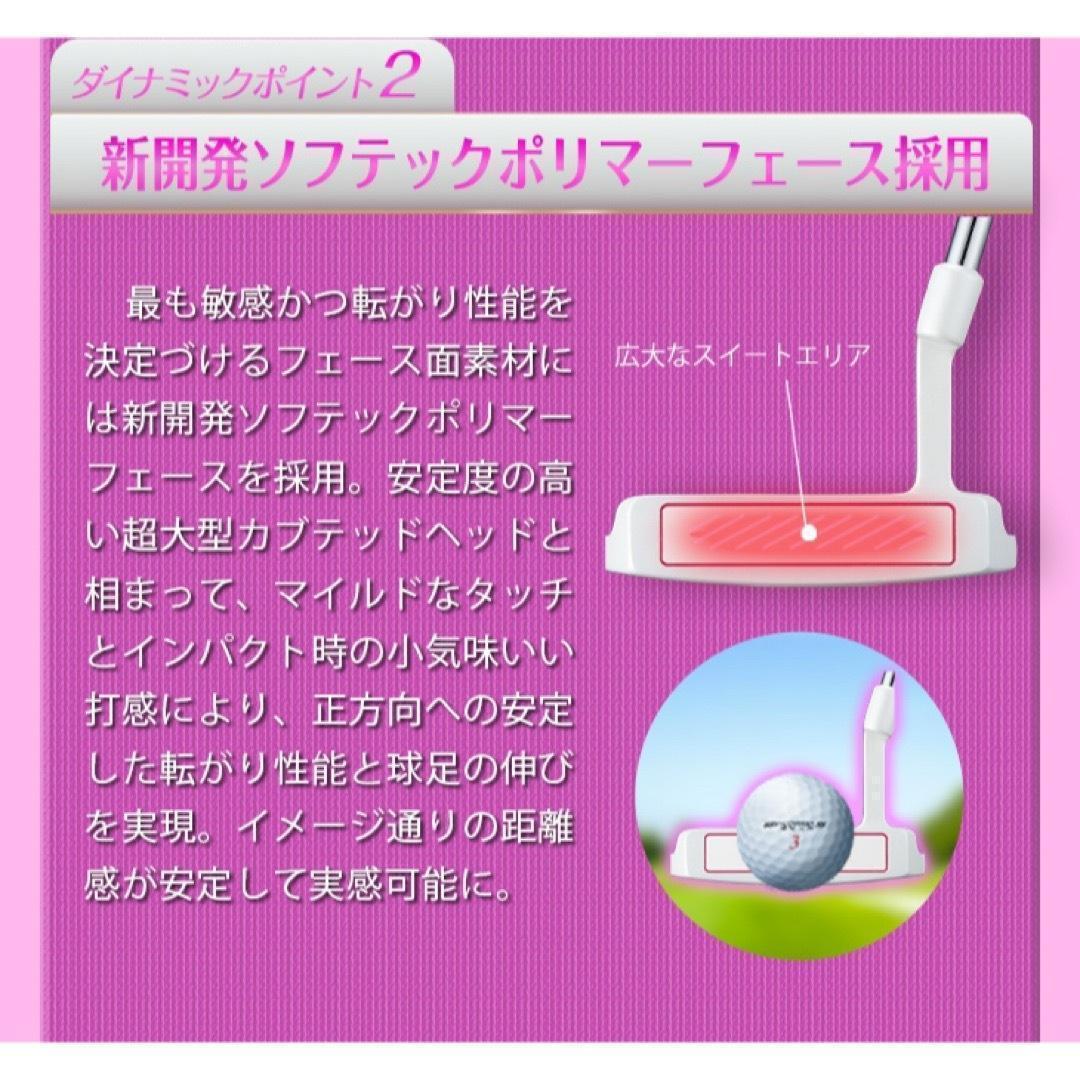 女性用 ラクラク100切りセット★ ダイナミクス レディス チッパー & パター