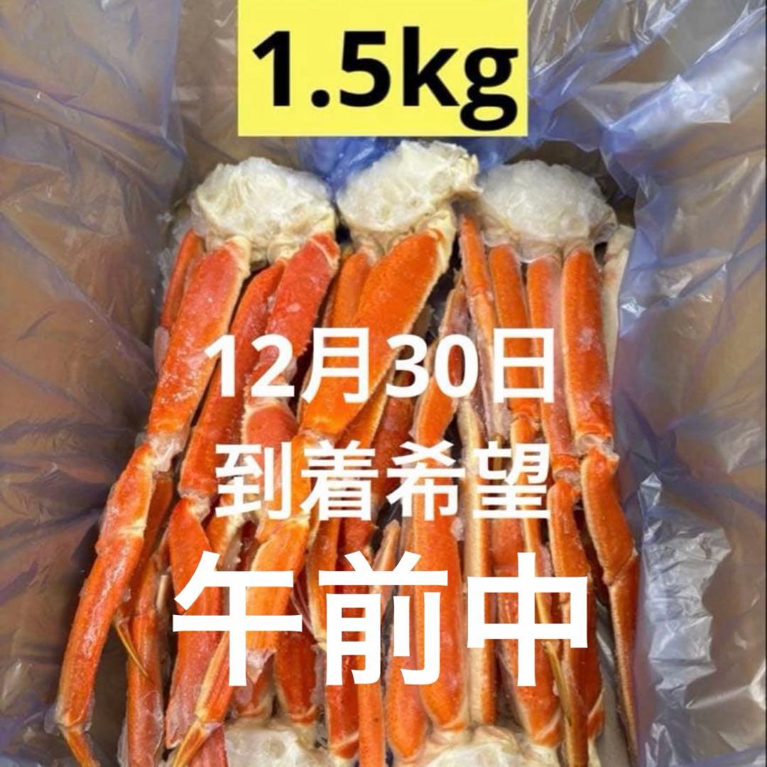 【12月30日午前到着希望】ちゅん 1.5kg