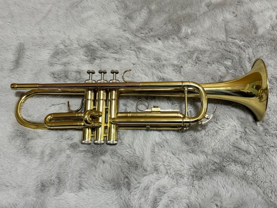 j.michael Japanese technology マウスピース 付属