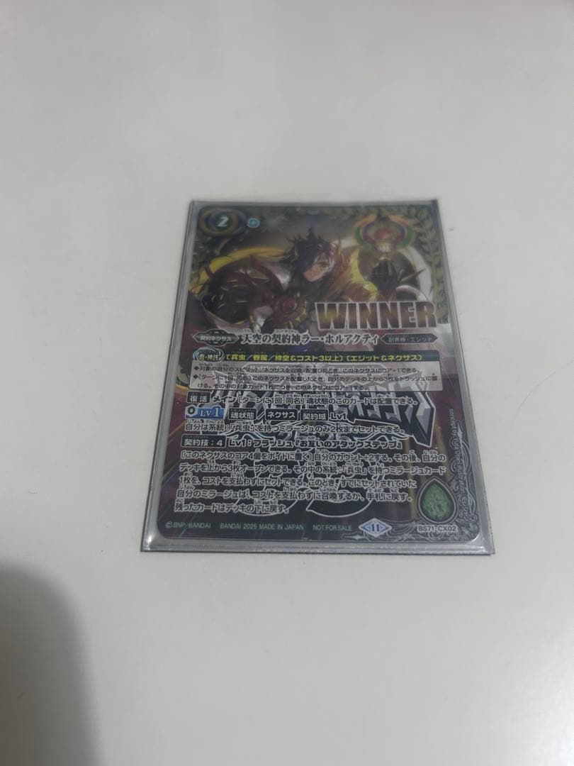 ラーホルアクティwinner