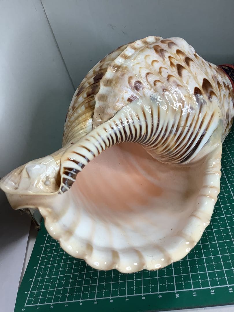 ヤフメリ12・法螺貝・山伏・修験者・金峯山・羽黒山・戦国武将・縁起物・熊除笛