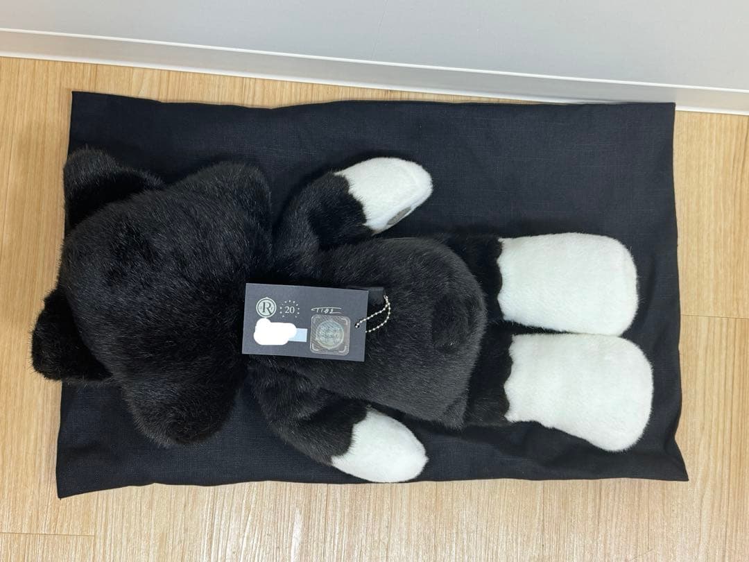 TIDE MY CAT イデタツヒロ