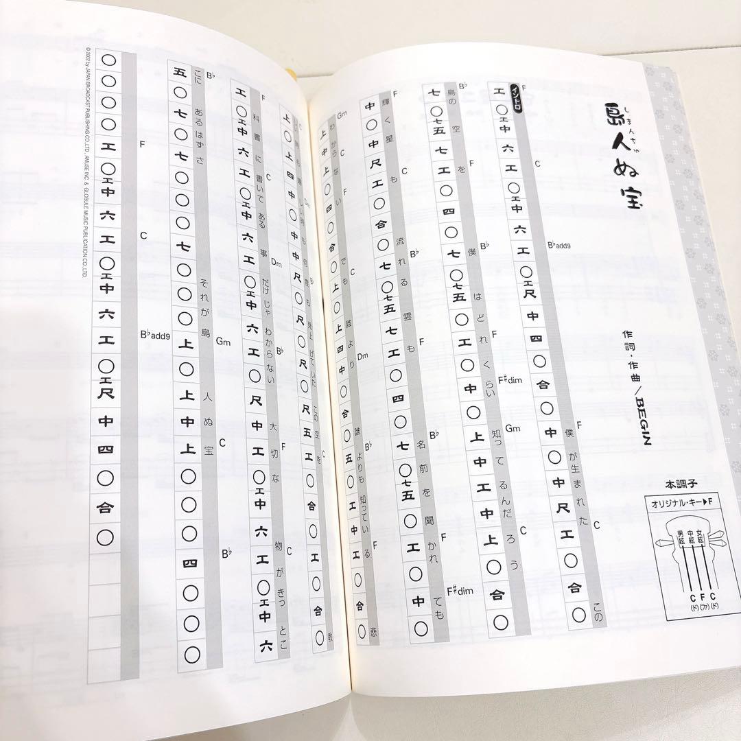 三線 本革 ケース 教本付き