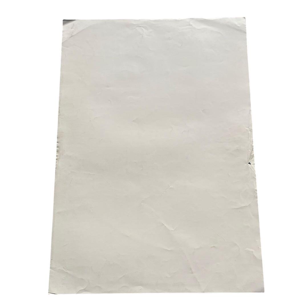 1967 familydog Victor Moscoso ビンテージ ポスター