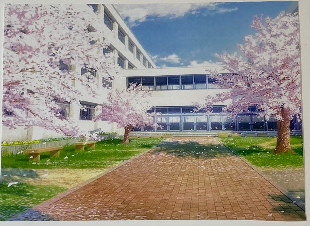 d６０　カードキャプターさくらセル画【さくら達四人】動画・背景画付き