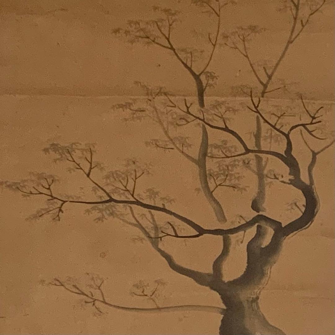 森寛斎 掛軸 古美術 茶道具 古道具 アンティーク