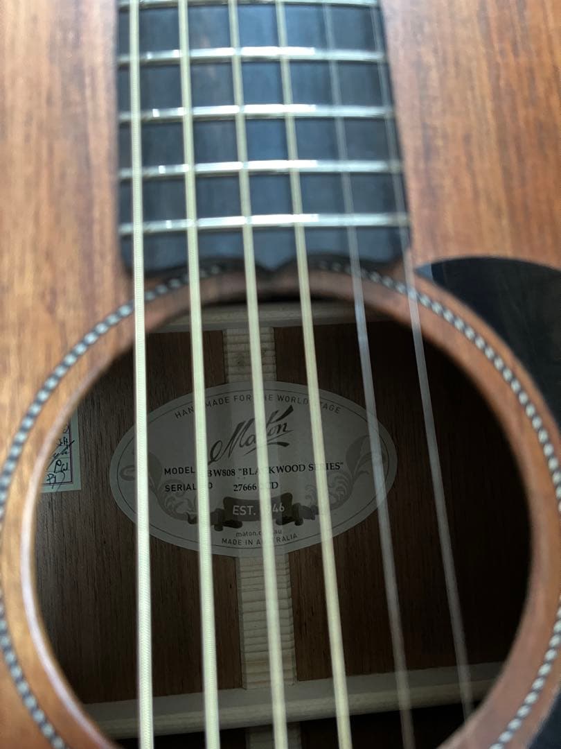 MATON EBW808 中古 アコースティックギター