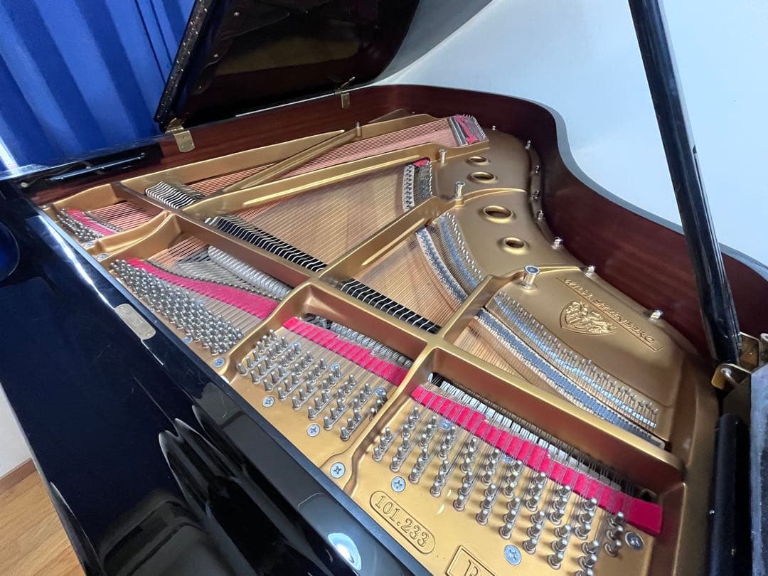 スタインベルグ WILH. STEINBERG グランドピアノ 黒