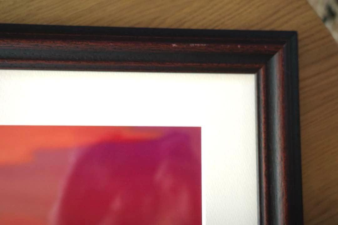 アラジン＆ジャスミン【Sunset Romance】サンセットロマンス　セル画