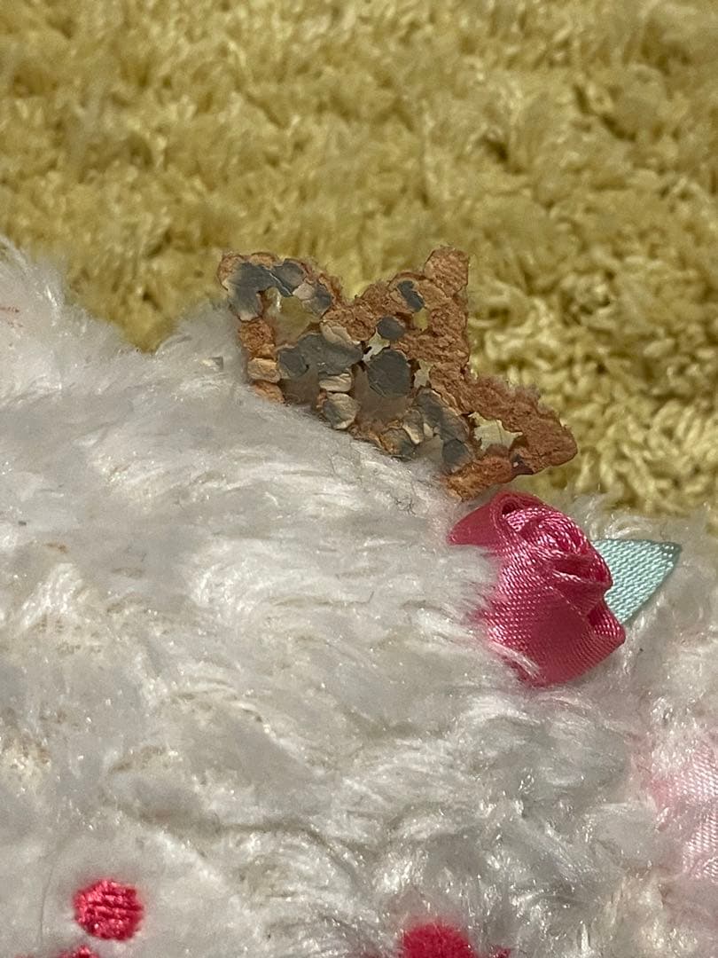 初代サンリオ　シュガーバニーズ　シューガーメヌエット　ブルーベリーうさ