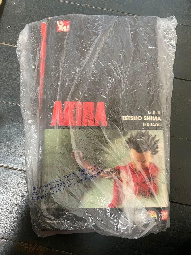 【説明欄必読】PROJECT BM 島鉄雄 1/6スケール AKIRA アキラ