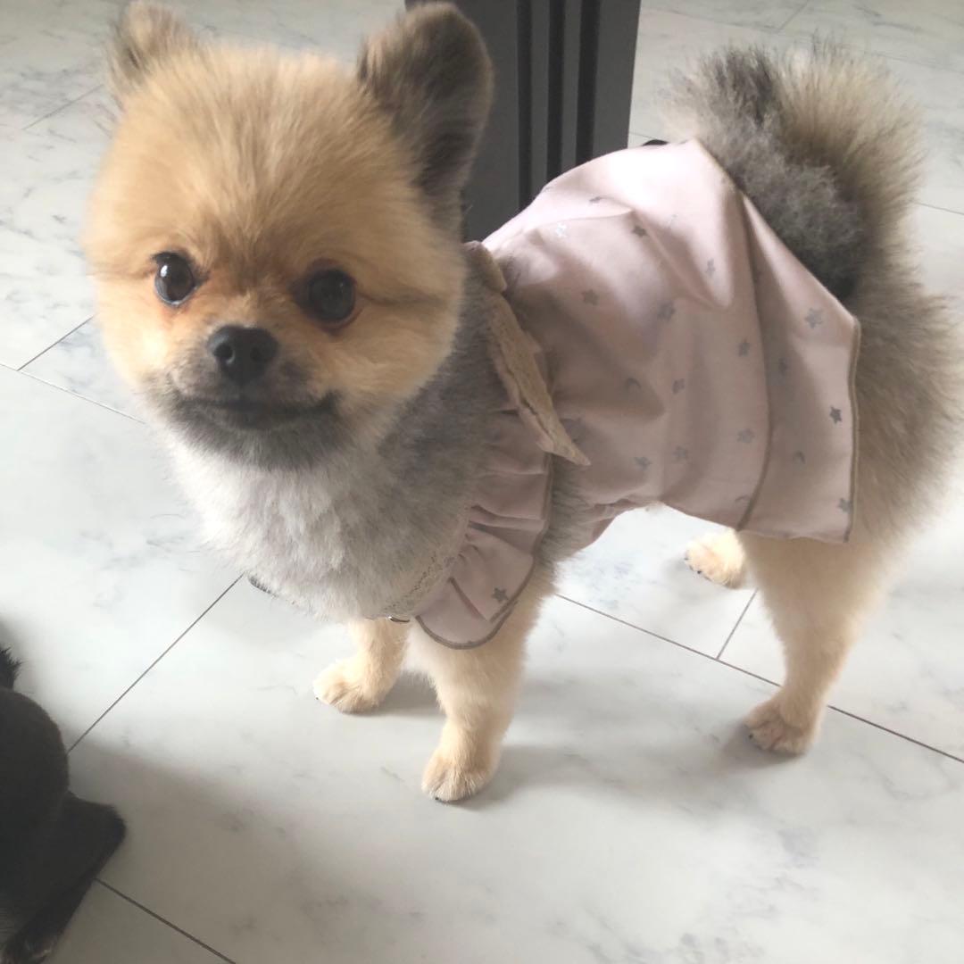 ハンドメイド　エプロンワンピース　オーダー小型犬