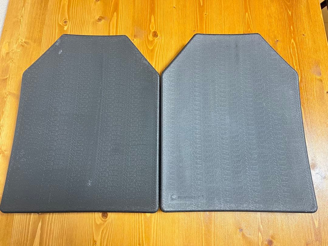 BINTER DEFENCE プレートキャリア ボディアーマー LE装備